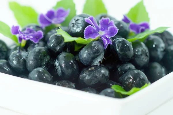 Blueberries with leaves on white background — Stock Photo, Image