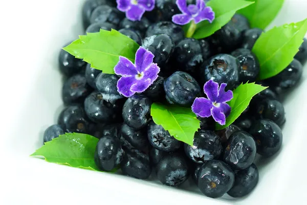 Blueberries with leaves on white background — Stock Photo, Image