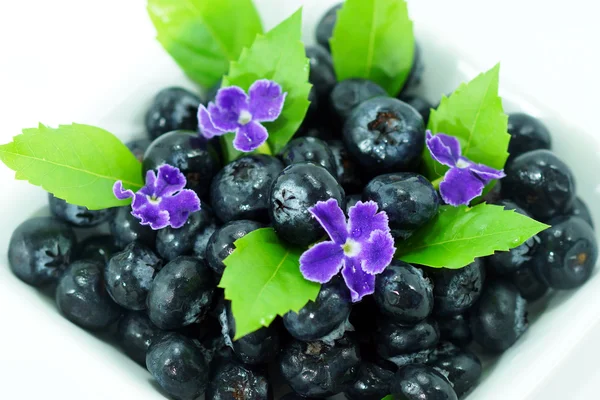 Blaubeeren mit Blättern auf weißem Hintergrund — Stockfoto