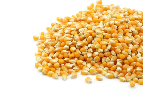 Corn seeds for cooking popcorn — Stock Photo, Image