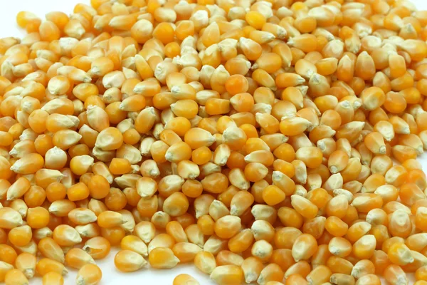 Graines de maïs pour la cuisson du maïs soufflé — Photo