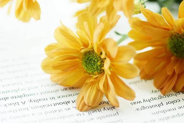 Oranje chrysant op boek — Stockfoto