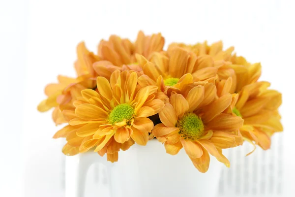 Orange chrysanthemum on book — Stock Photo, Image