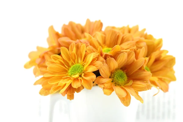 Orange chrysanthemum on book — Stock Photo, Image