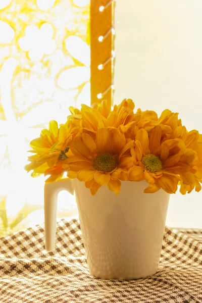 Цветок оранжевой хризантемы в сочетании с освещением бумаги — стоковое фото