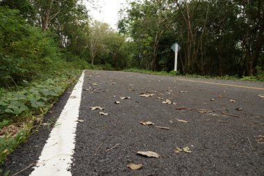 boş eğri yol dağa.