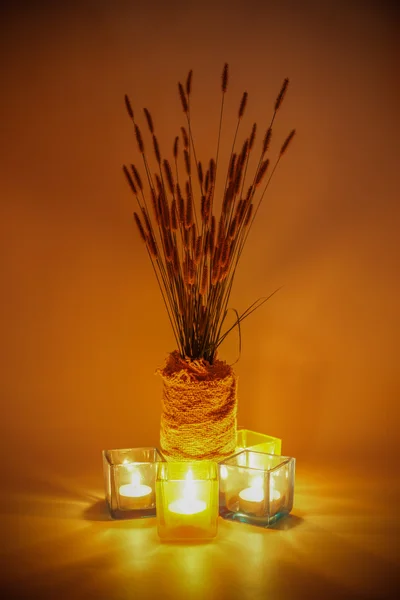Kaarsen en bloem — Stockfoto