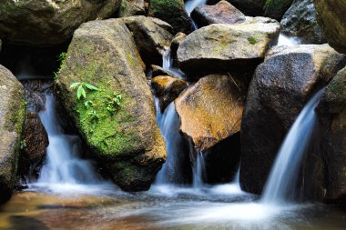 taşın altına akan küçük şelale.