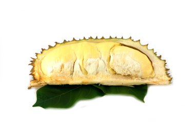Durian beyaz arkaplanda izole edildi