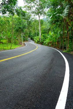 Tayland 'da dolambaçlı yol