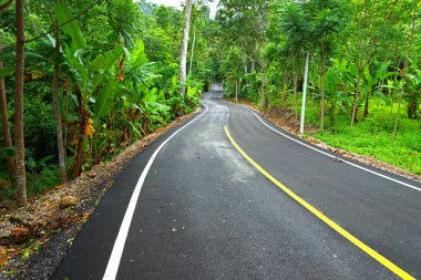 Tayland 'da dolambaçlı yol