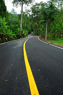 Tayland 'da dolambaçlı yol