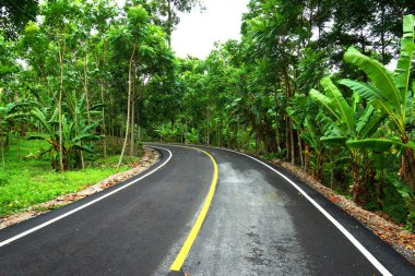 Tayland 'da dolambaçlı yol