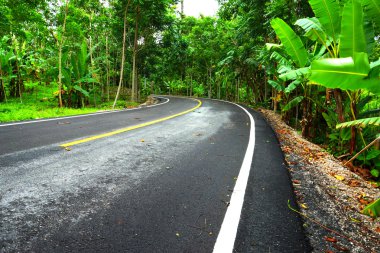 Tayland 'da dolambaçlı yol