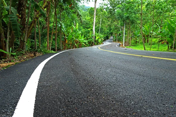 Slingrande väg i Thailand — Stockfoto