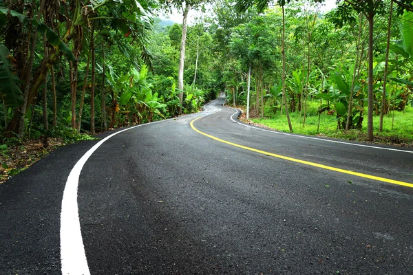 Kronkelende weg in Thailand — Stockfoto