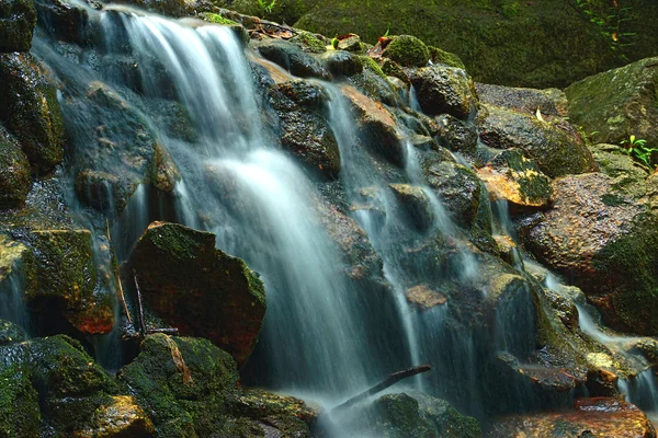 Linda de pequena cachoeira que flui sobre a rocha nos fores — Fotografia de Stock