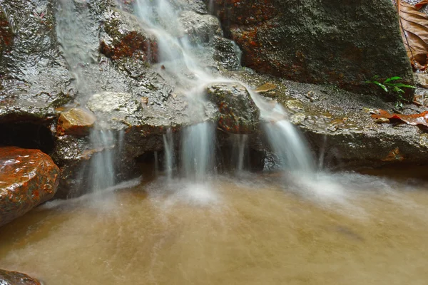 Piękny mały wodospad płynący na skale w fores — Zdjęcie stockowe