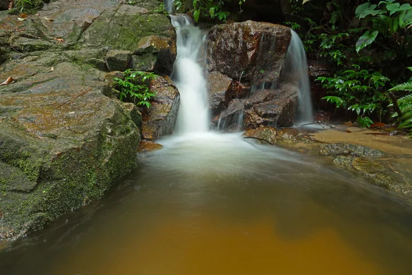 Krásný malý vodopád teče přes skálu v fores — Stock fotografie