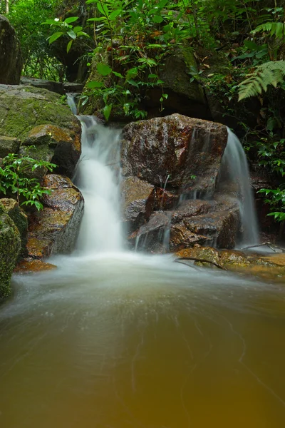 Mooie van kleine waterval stroomt over de rots in de fores — Stockfoto