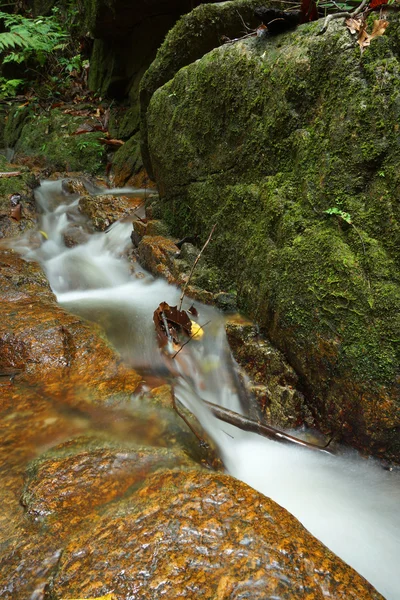 Bello di piccola cascata che scorre sopra la roccia nelle fronti — Foto Stock