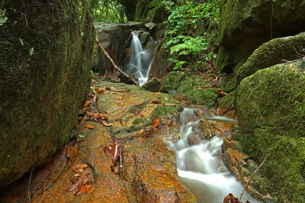 Belle de petite cascade qui coule sur la roche à la fourche — Photo