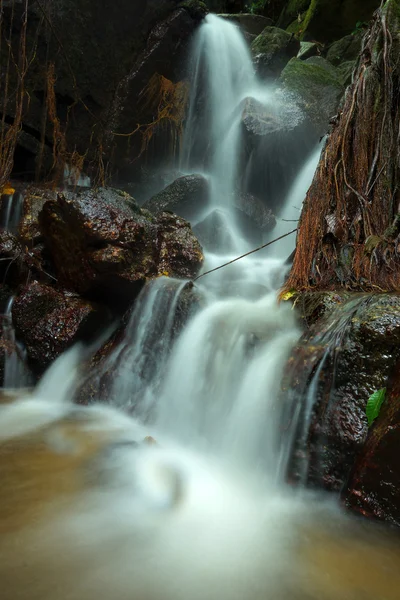 Belle de petite cascade qui coule sur la roche à la fourche — Photo