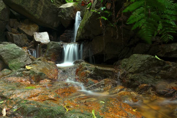 Schön von kleinem Wasserfall, der über den Felsen in den Vorgärten fließt — Stockfoto