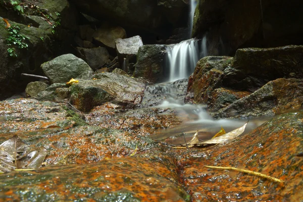Güzel ormanının kaya üzerinden akan küçük şelale — Stok fotoğraf