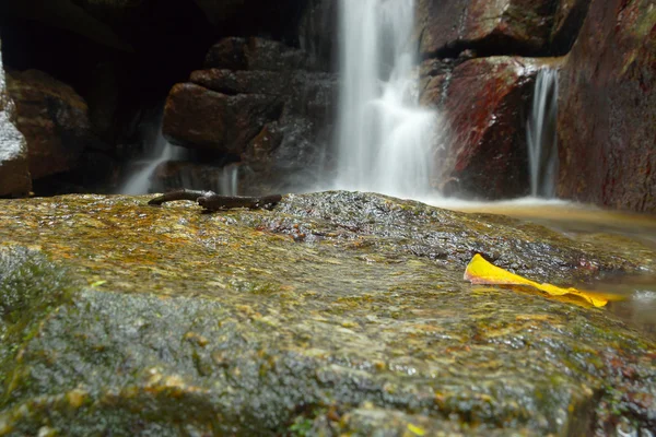 Beautiful of small waterfall flowing over the rock in the fores — Stock Photo, Image