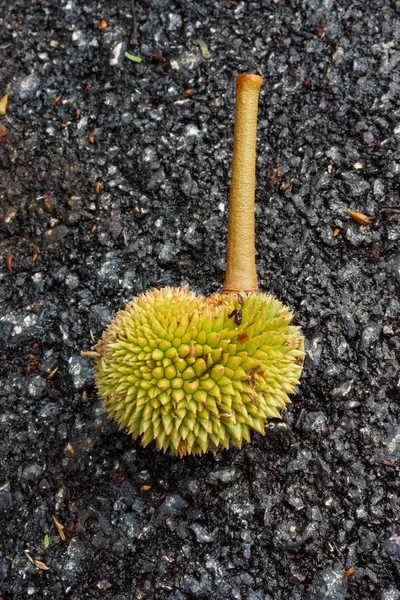 Durian fruit on the street. — Stock Photo, Image