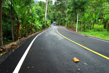 Tayland 'da dolambaçlı yol
