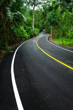 Tayland 'da dolambaçlı yol