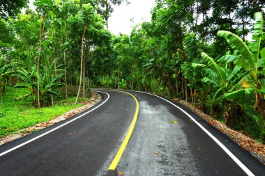 Tayland 'da dolambaçlı yol
