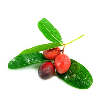 süper meyve (bilimsel adı carissa carandas linn.)