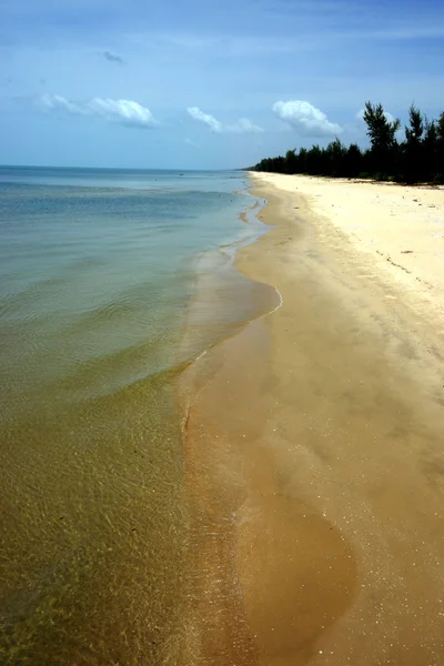 Geel zand. — Stockfoto