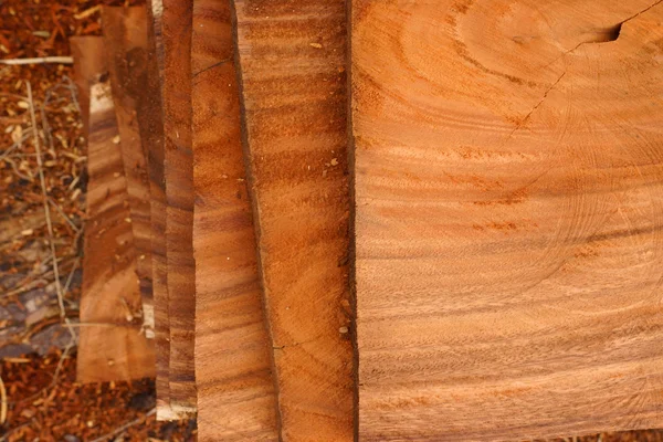 Dřevo pro průmyslové aplikace. — Stock fotografie