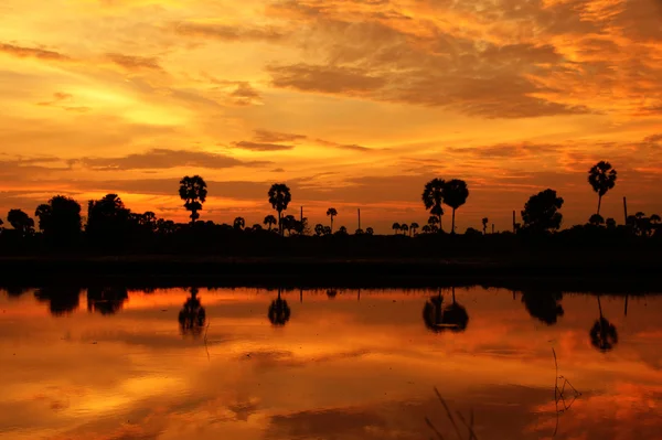 Zwart silhouet tegen de hemel bij zonsondergang. — Stockfoto