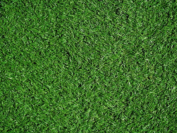 Yapay Çimen Alanı Üst Görünüm DokusuName