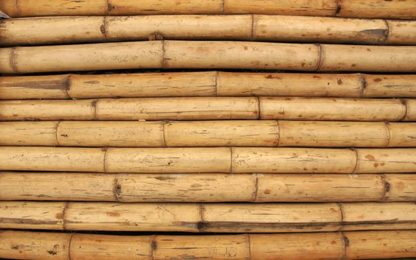 Bamboo wall — Stockfoto