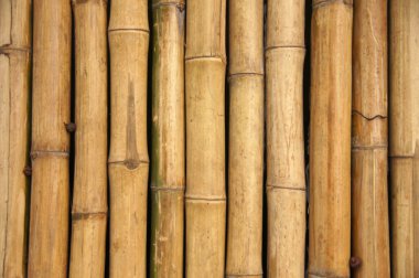 Bambu duvar