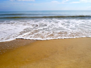 playa tropical de arena.