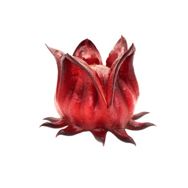 Hibiscus sabdariffa veya roselle meyve