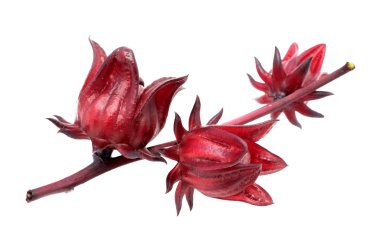 Hibiscus sabdariffa veya roselle meyve