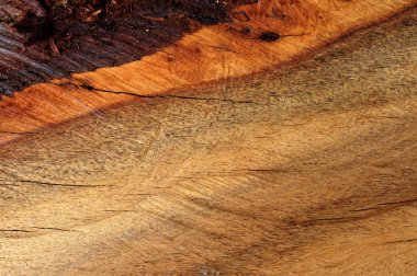 ahşap mobilya yapımı için doku