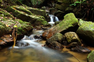 küçük şelale ve kayalar Forest, Tayland