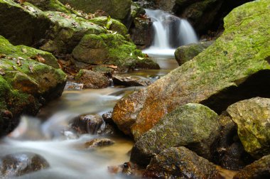 küçük şelale ve kayalar Forest, Tayland
