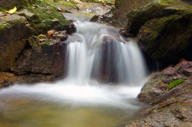 küçük şelale ve kayalar Forest, Tayland