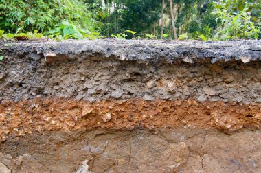 stratigrafi depremin neden yol hasarı.