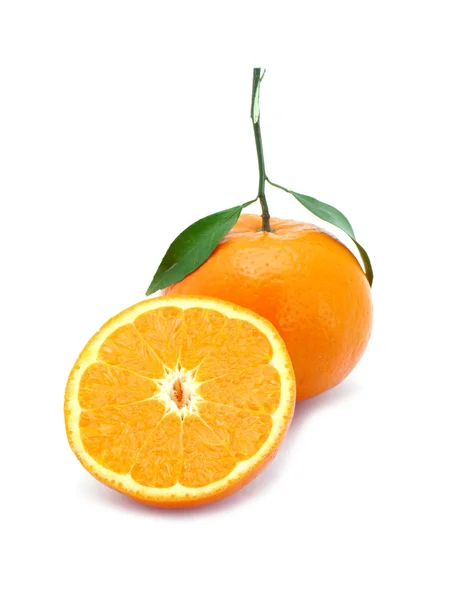 Frische Orangenfrüchte — Stockfoto